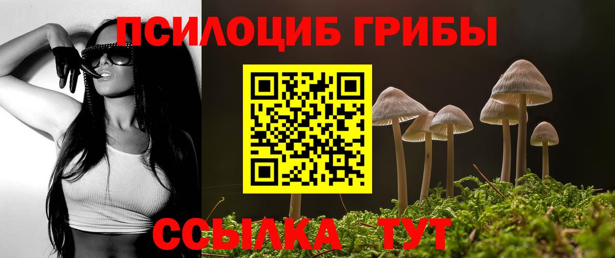 Выборг  дарнет шоп  Вход с VPN  Псилоцибиновые грибы мухоморы 