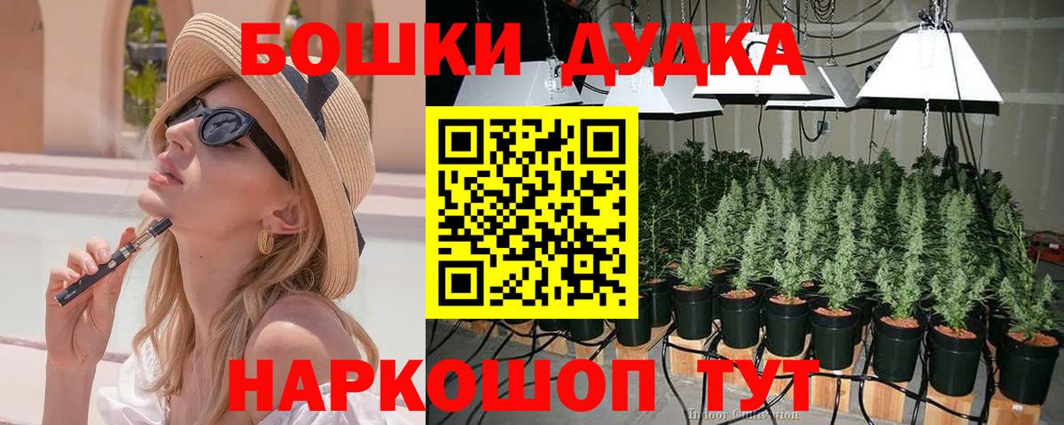 Бошки Шишки конопля Выборг